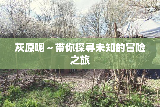 灰原嗯～带你探寻未知的冒险之旅