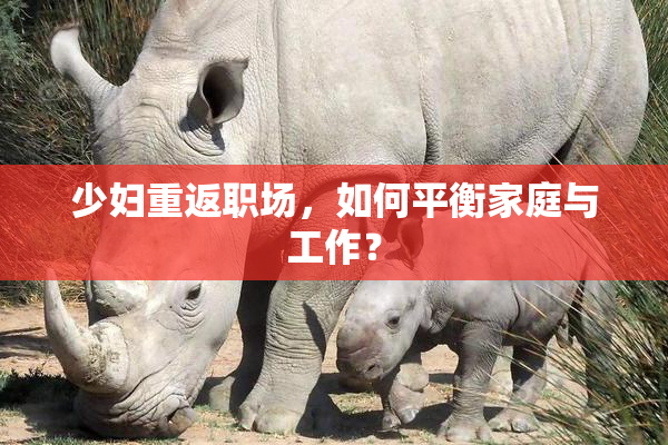少妇重返职场，如何平衡家庭与工作？