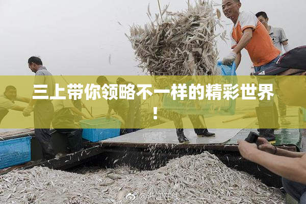 三上带你领略不一样的精彩世界！