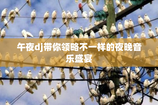午夜dj带你领略不一样的夜晚音乐盛宴
