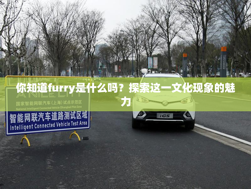 你知道furry是什么吗？探索这一文化现象的魅力