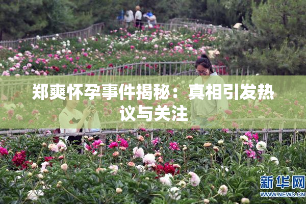 郑爽怀孕事件揭秘：真相引发热议与关注