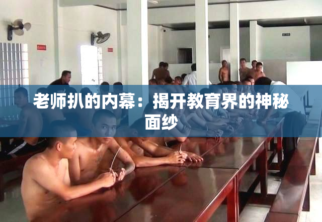 老师扒的内幕：揭开教育界的神秘面纱
