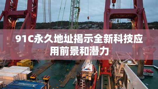 91C永久地址揭示全新科技应用前景和潜力