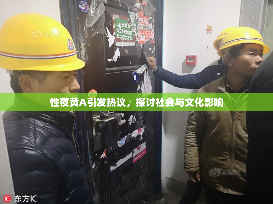 性夜黄A引发热议，探讨社会与文化影响