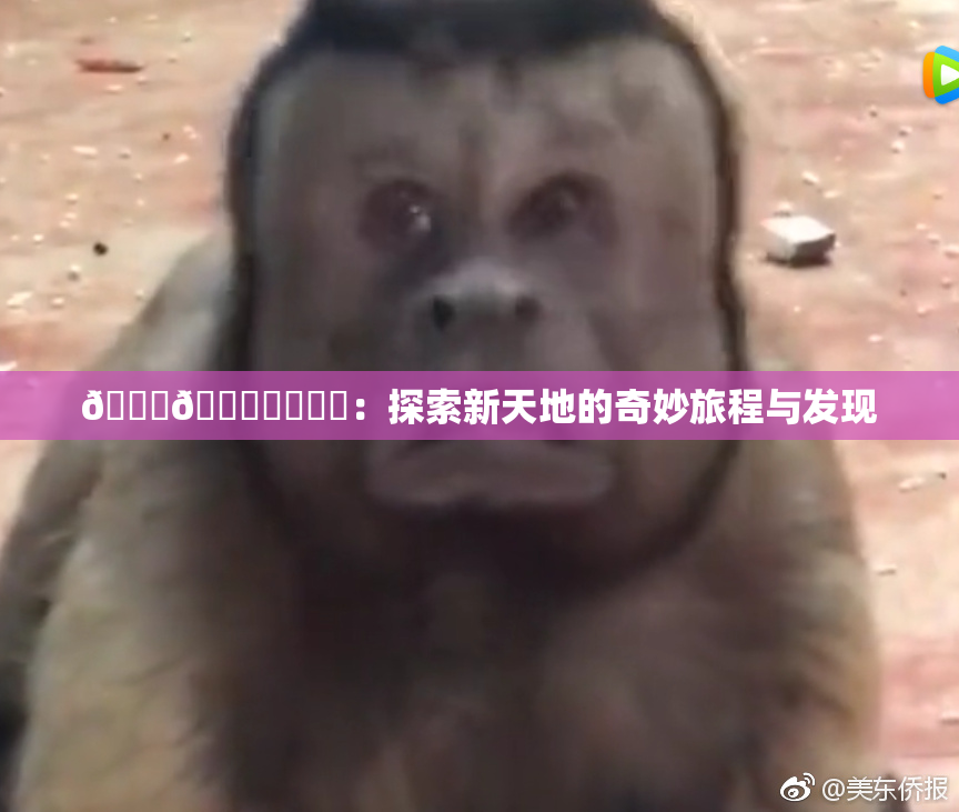 🍆🍑❌‌❌‌：探索新天地的奇妙旅程与发现