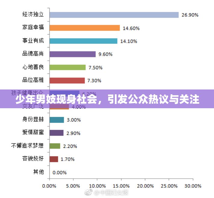 少年男妓现身社会，引发公众热议与关注