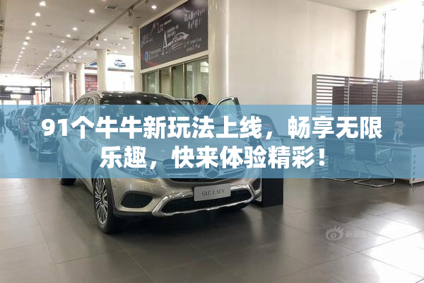 91个牛牛新玩法上线，畅享无限乐趣，快来体验精彩！