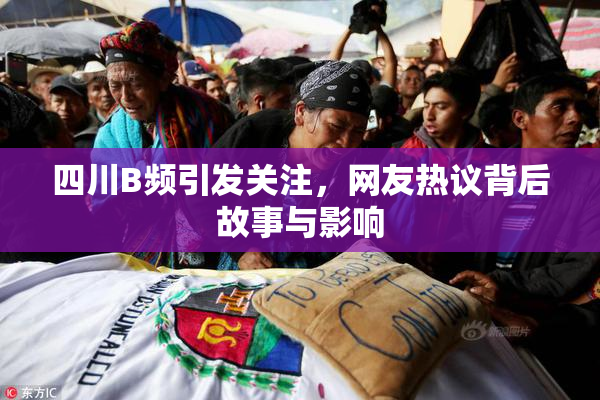 四川B频引发关注，网友热议背后故事与影响