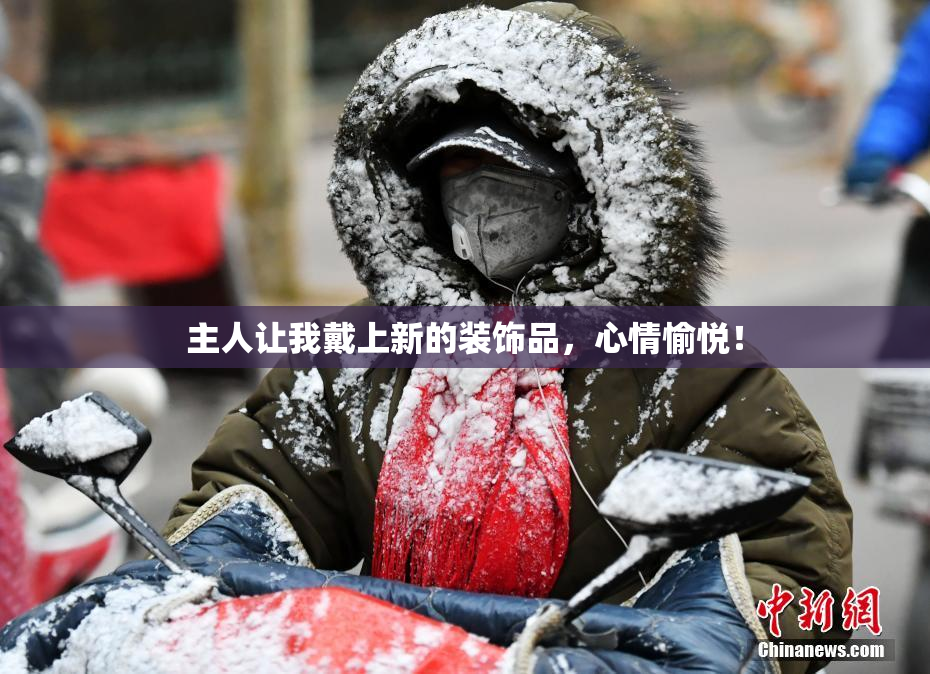 主人让我戴上新的装饰品，心情愉悦！