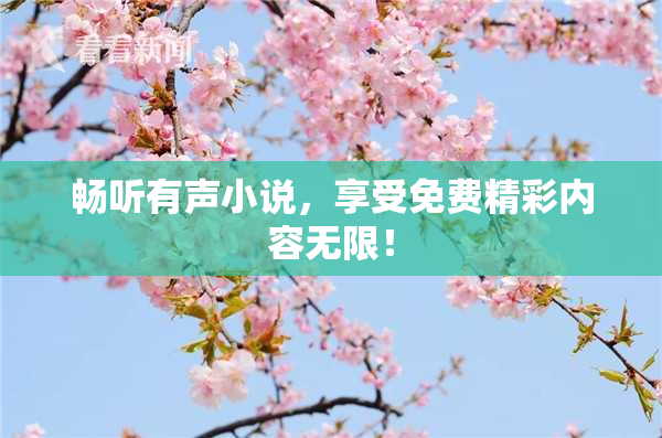 畅听有声小说，享受免费精彩内容无限！