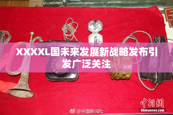 XXXXL国未来发展新战略发布引发广泛关注