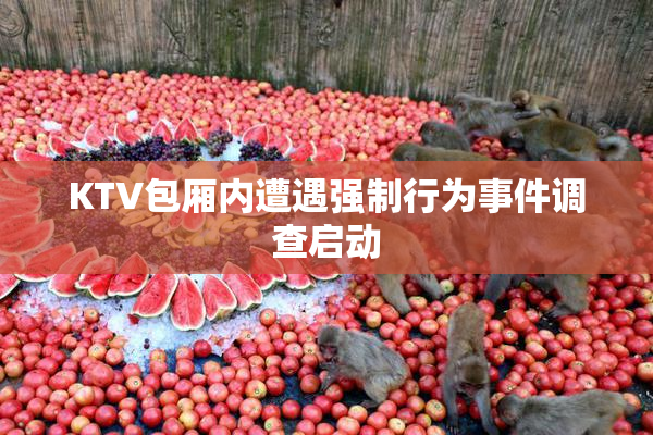 KTV包厢内遭遇强制行为事件调查启动