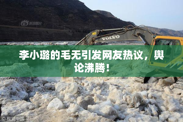 李小璐的毛无引发网友热议，舆论沸腾！