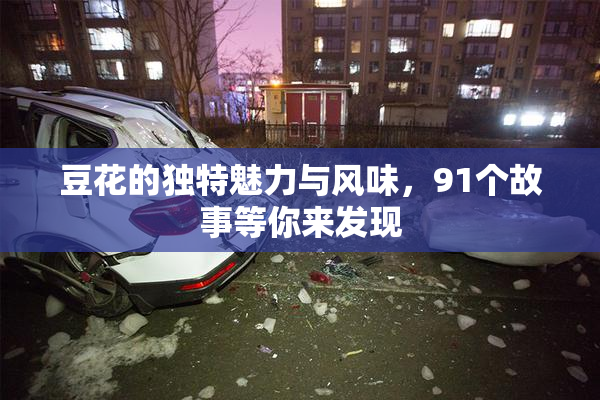 豆花的独特魅力与风味，91个故事等你来发现