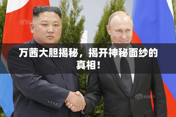 万茜大胆揭秘，揭开神秘面纱的真相！