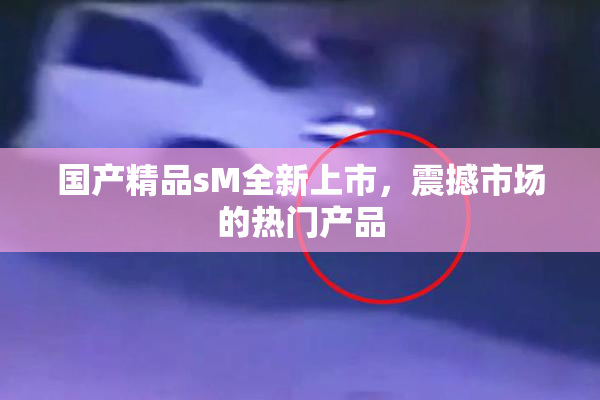 国产精品sM全新上市，震撼市场的热门产品