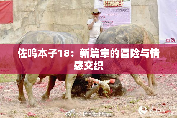 佐鸣本子18：新篇章的冒险与情感交织
