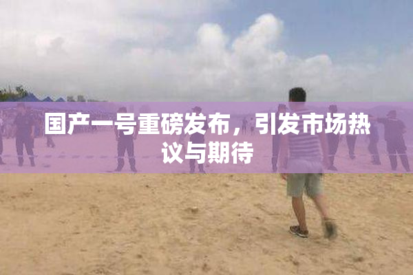 国产一号重磅发布，引发市场热议与期待