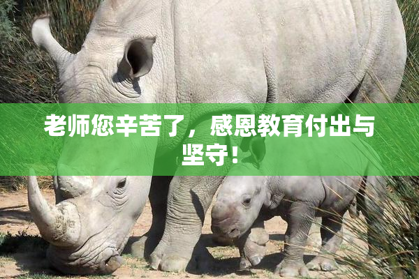 老师您辛苦了，感恩教育付出与坚守！