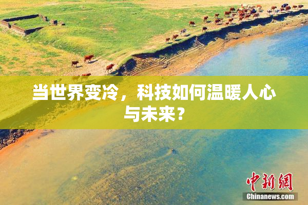 当世界变冷，科技如何温暖人心与未来？