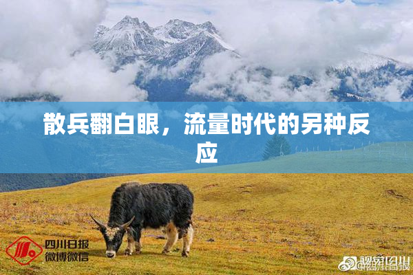 散兵翻白眼，流量时代的另种反应