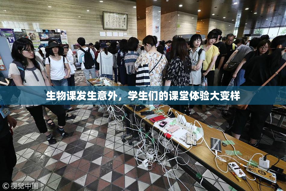 生物课发生意外，学生们的课堂体验大变样