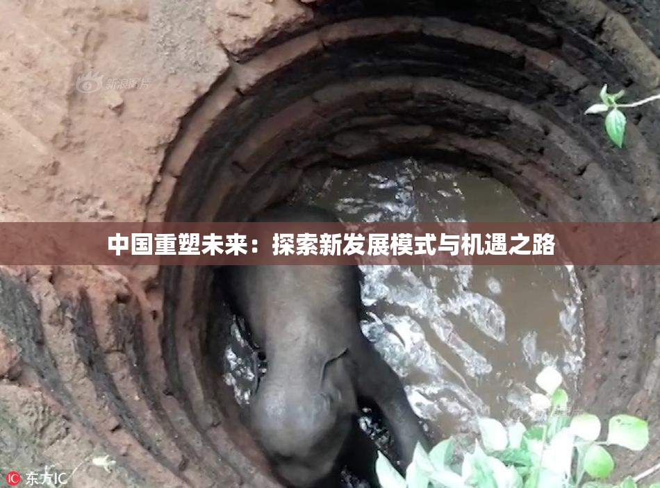 中国重塑未来：探索新发展模式与机遇之路