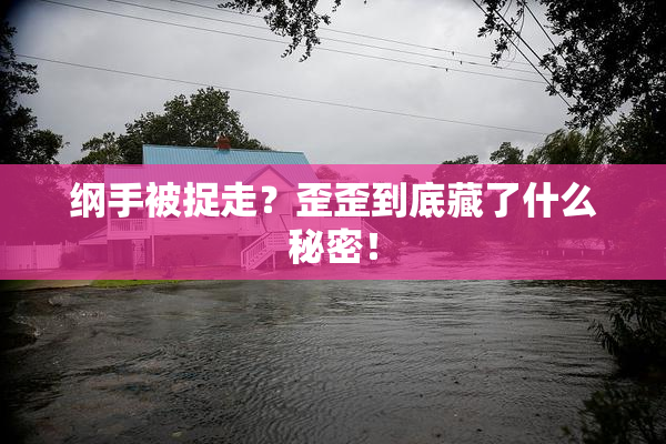 纲手被捉走？歪歪到底藏了什么秘密！