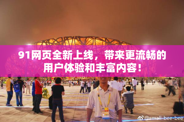 91网页全新上线，带来更流畅的用户体验和丰富内容！