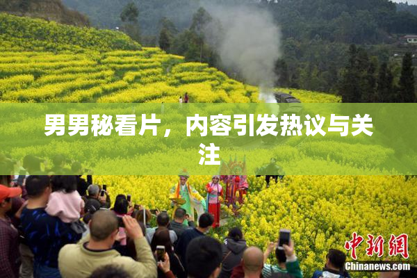 男男秘看片，内容引发热议与关注
