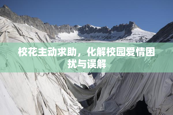 校花主动求助，化解校园爱情困扰与误解