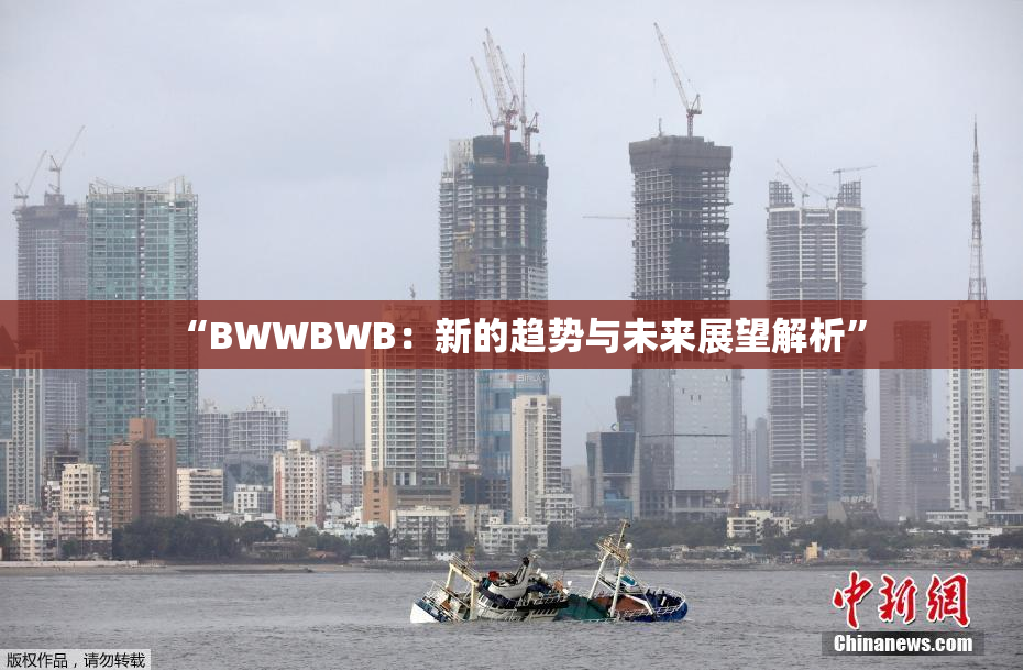 “BWWBWB：新的趋势与未来展望解析”