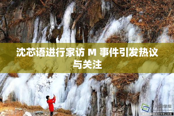 沈芯语进行家访 M 事件引发热议与关注