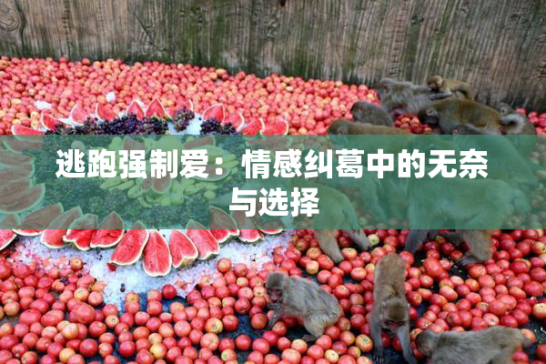 逃跑强制爱：情感纠葛中的无奈与选择
