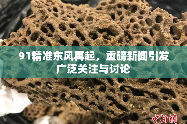 91精准东风再起，重磅新闻引发广泛关注与讨论