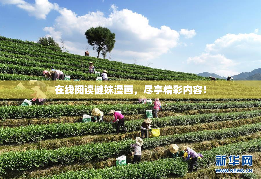 在线阅读谜妹漫画，尽享精彩内容！