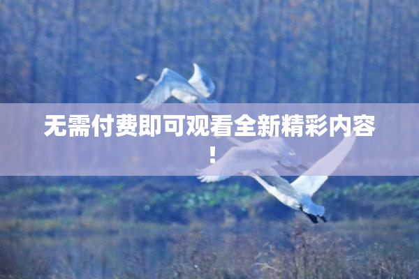 无需付费即可观看全新精彩内容！