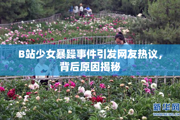 B站少女暴躁事件引发网友热议，背后原因揭秘
