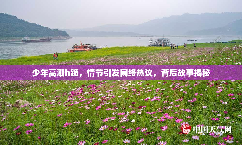 少年高潮h跪，情节引发网络热议，背后故事揭秘