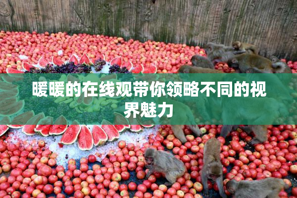 暖暖的在线观带你领略不同的视界魅力
