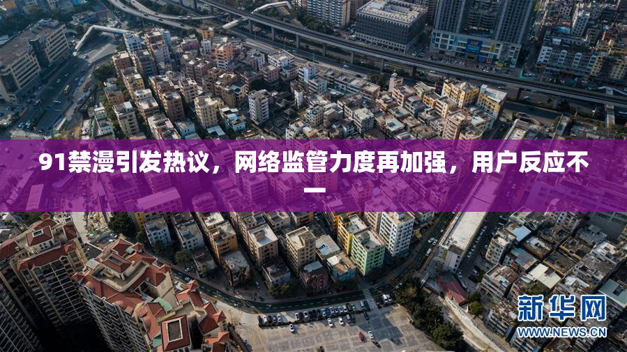 91禁漫引发热议，网络监管力度再加强，用户反应不一