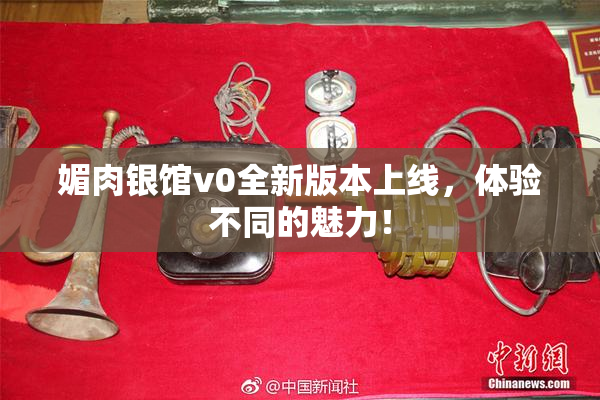 媚肉银馆v0全新版本上线，体验不同的魅力！