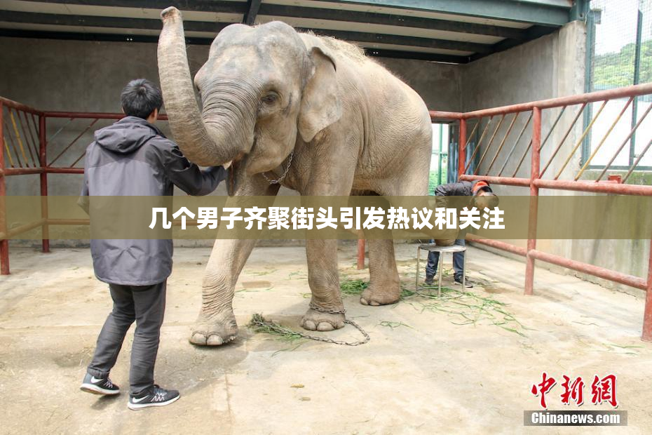 几个男子齐聚街头引发热议和关注
