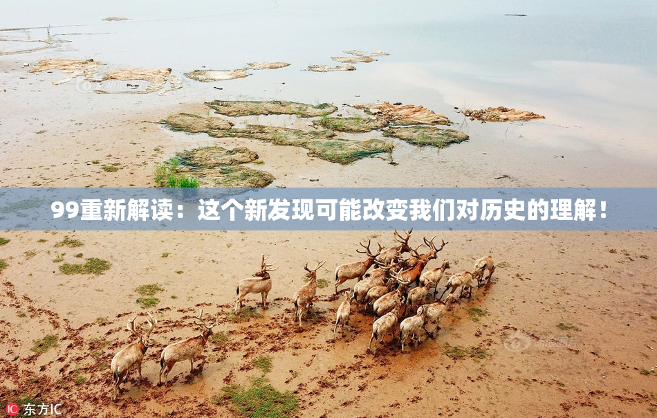 99重新解读：这个新发现可能改变我们对历史的理解！
