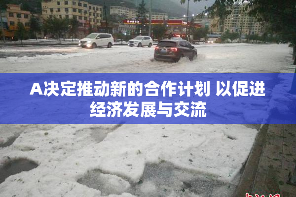 A决定推动新的合作计划 以促进经济发展与交流