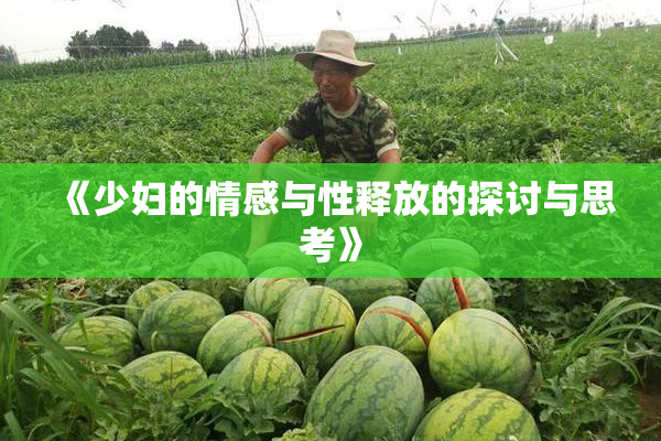 《少妇的情感与性释放的探讨与思考》