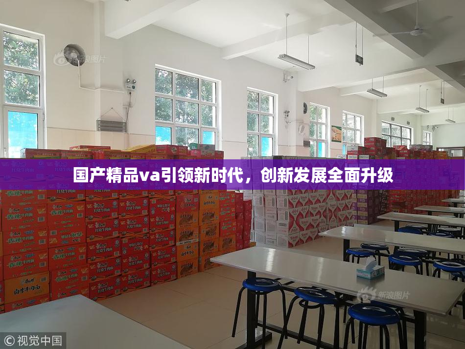 国产精品va引领新时代，创新发展全面升级