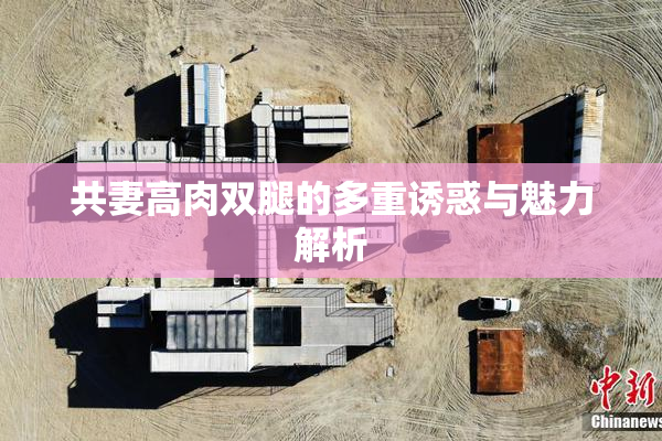 共妻高肉双腿的多重诱惑与魅力解析