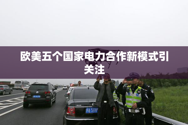 欧美五个国家电力合作新模式引关注